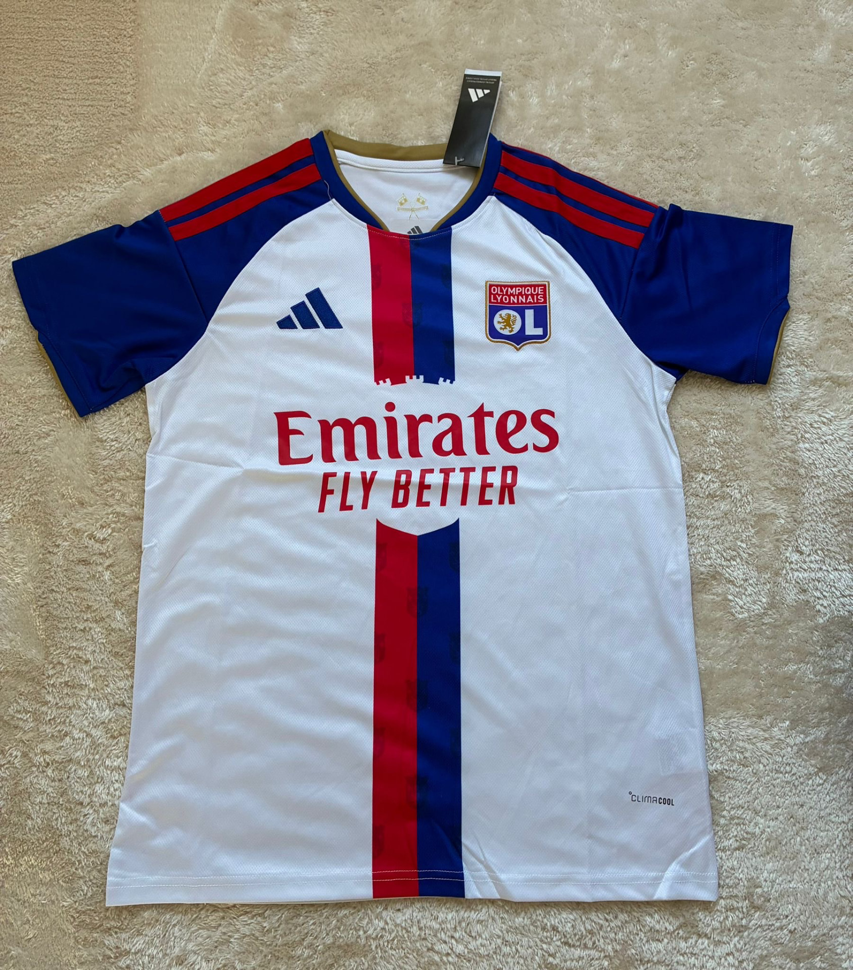 Lyon Hjemmebane